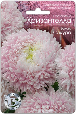 Семена Хризантелла Сакура АГ Биотехника