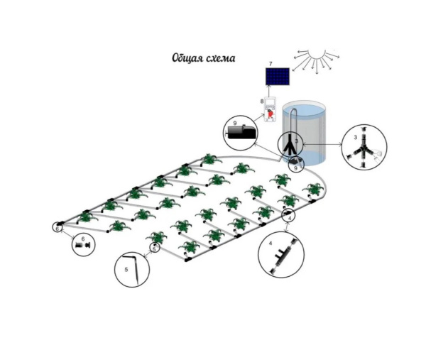 Система автоматического полива Синьор Помидор с солнечной батареей