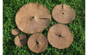 Приствольный круг кокосовый для мульчирования 60 см, 5 шт