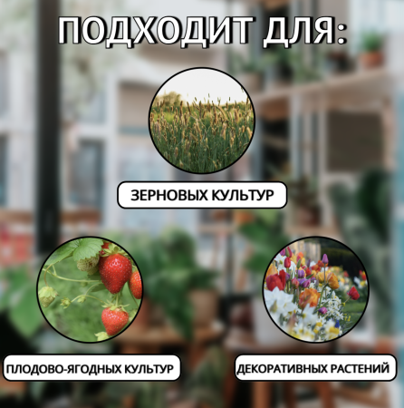 Удобрение хелатное Agree's Молибден для снижения нитратов в растении 1 л Удобрение хелатное Agree's Молибден для снижения нитратов в растении 1 л