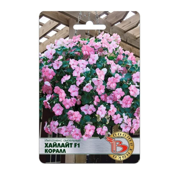 Семена Импатиенс ампельный Хайлайт Коралл F1 АГ Биотехника Семена Импатиенс ампельный Хайлайт Коралл F1 АГ Биотехника