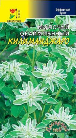 Семена Молочай Килиманджаро Эуфорбия Цветущий сад
