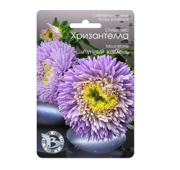 Семена Астра китайская Хризантелла Лунный камень АГ Биотехника Семена Астра китайская Хризантелла Лунный камень АГ Биотехника