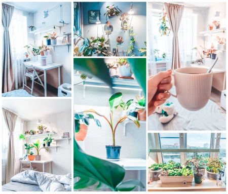 Фитолампа Е27 Блюдце D230 Биколор комфорт 20 Ватт