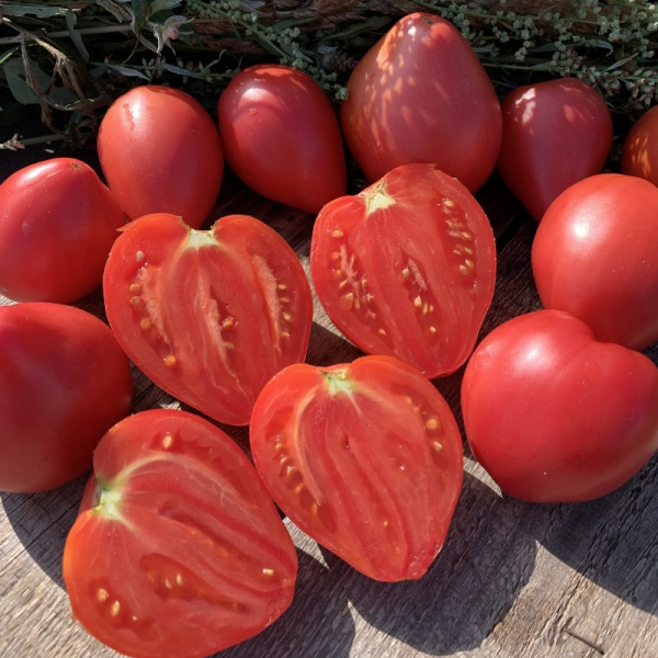 Томат Розовая страсть Мязина Л