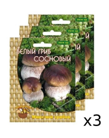 Мицелий грибов Белый гриб сосновый на компосте 60 мл, 3 шт