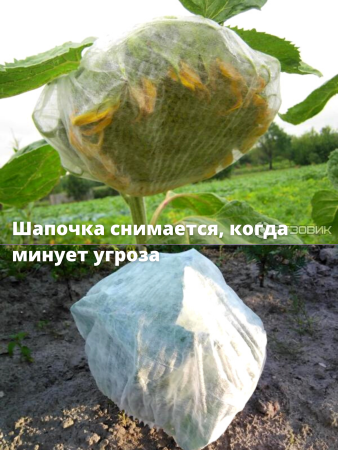 Шапочка с УФ для капусты 20 шт