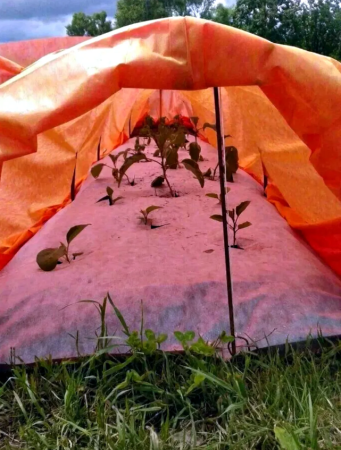 Укрывной материал Грядка в порядке двойная защита от вредителей с УФ стабилизатором красно-жёлтый 40 г/м2, 1,6 х 5 м Благодатное Земледелие