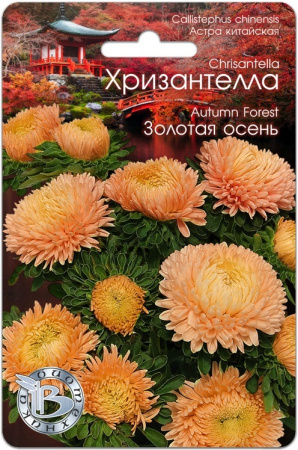 Семена Хризантелла Золотая осень АГ Биотехника