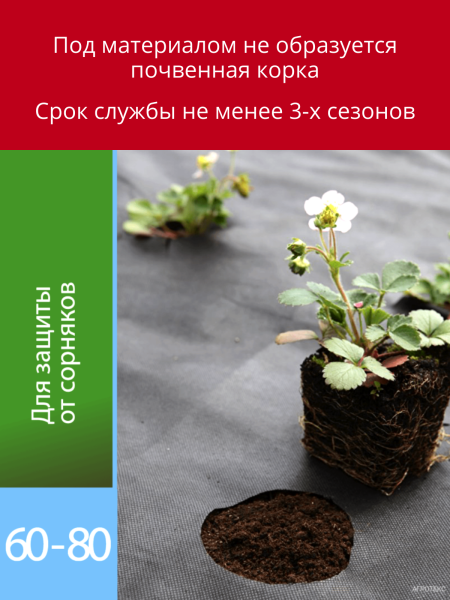 Укрывной материал с УФ Агротекс чёрный перфорированный  60 г/м2, 1,6 х 10 м, 2 шт