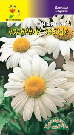 Семена Нивяник Полярная Звезда Круп Цветущий сад