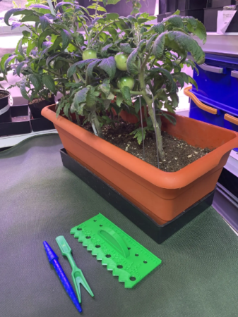 Набор инструментов для посадки и пикировки рассады 3 в 1