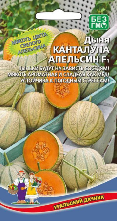 Семена Дыня канталупа Апельсин F1 Уральский дачник