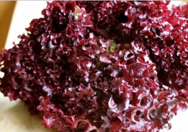 Семена Салат листовой Роселла 1 гр Партнер