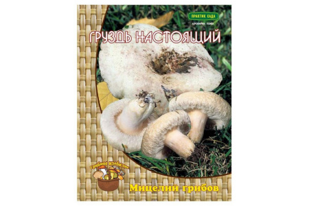 Мицелий грибов Белый груздь на компосте 60 мл