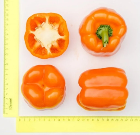 Семена Перец Аллар F1 5 шт Партнер