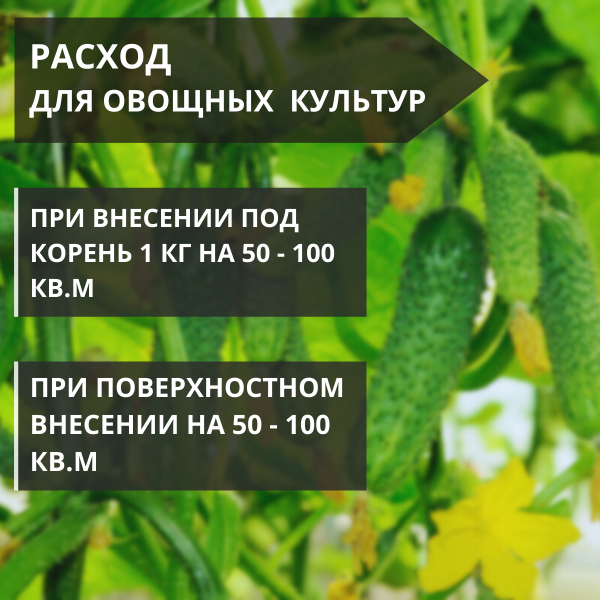 Почвоулучшитель Reasil для органического земледелия 3 кг