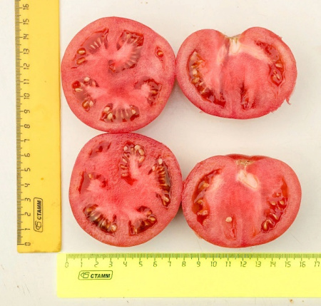 Семена Томат Эволюция F1 10 шт Партнер