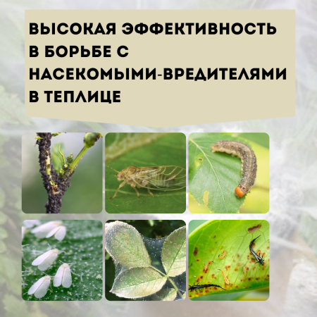 Дымовая шашка инсектицидная для обработки теплиц фумигатор 3 шт Благодатное земледелие