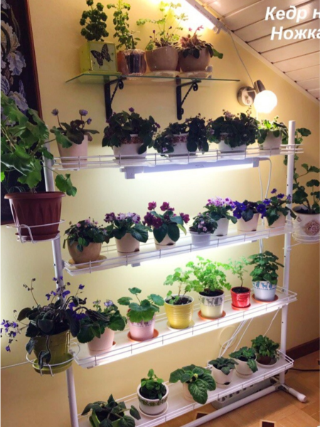 Стеллаж для рассады напольный, на подоконник КЕДР h 124,5 см ширина 104 см