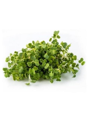 Микрозелень Мицуна 75 г