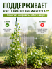 Опора LISTOK для растений 120 см VIP