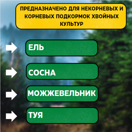 Ортон Хвойная игла 5 г