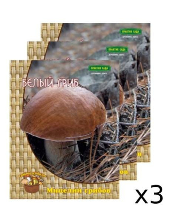 Мицелий грибов Белый гриб на компосте 60 мл, 3 шт Мицелий грибов Белый гриб на компосте 60 мл, 3 шт