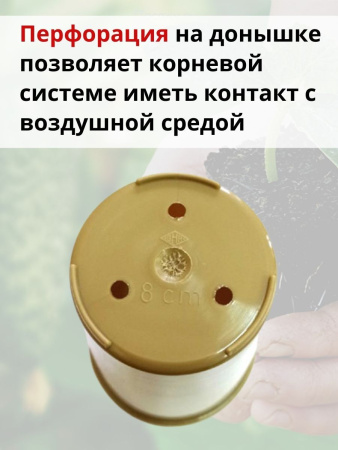 Набор стаканов Вега под рассаду с перфорацией 300 мл 9 шт