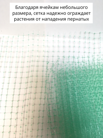 Сетка от птиц 2х10 м 8х8 мм