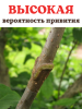 Секатор прививочный для прививания деревьев и кустарников с 3-мя ножами + прививочная лента Green Helper GT-001