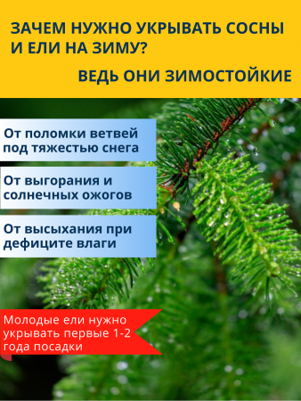 Укрытие для растений 60 г/м2 с УФ стабилизатором 1,6 х 1,7 м белый Благодатное Земледелие Укрытие для растений 60 г/м2 с УФ стабилизатором 1,6 х 1,7 м белый Благодатное Земледелие