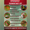 Битоксибациллин биопрепарат для защиты садовых растений от насекомых вредителей 20 г