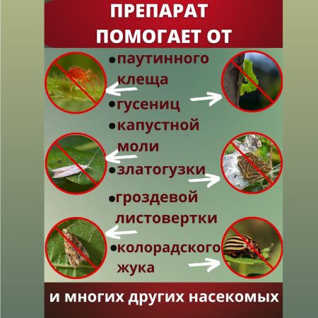 Битоксибациллин биопрепарат для защиты садовых растений от насекомых вредителей 20 г