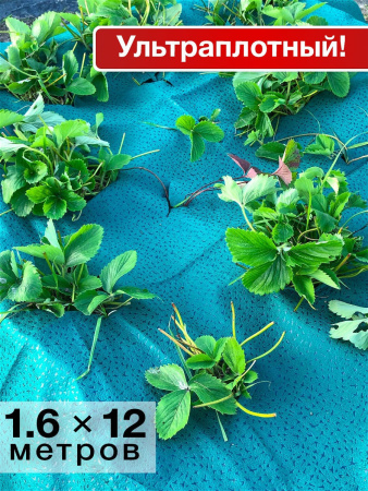 Укрывной материал с УФ Спанграм аквамарин зима 120 г/м2, 1,6 х 12 м