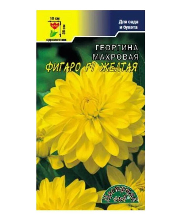 Семена Георгина Фигаро F1 Желтая махровая Цветущий сад