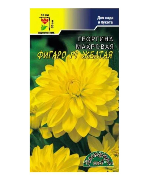Семена Георгина Фигаро F1 Желтая махровая Цветущий сад