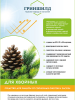 Гриншилд для хвойных Защита от солнечных ожогов 250 мл