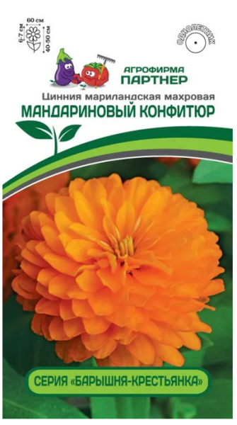 Семена Цинния МАНДАРИНОВЫЙ КОНФИТЮР / мариландская махровая 5шт Партнер 2-ной пак Семена Цинния МАНДАРИНОВЫЙ КОНФИТЮР / мариландская махровая 5шт Партнер 2-ной пак