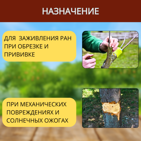 Садовый бальзам Живица 250 г, 3шт