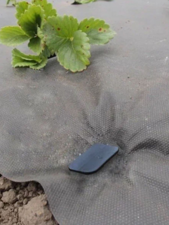 Садовые колышки со шляпкой для агроткани и укрывного материала черные 17 см пластиковые 25 шт Благодатное земледелие