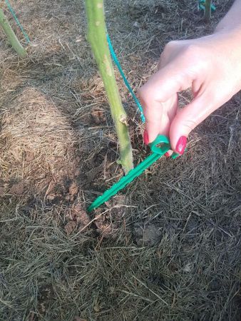 Садовые колышки для подвязки растений и укрывного материала зеленые 14 см 40 шт