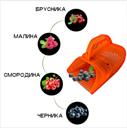 Плодосборник для ягод с заслонкой Гардения