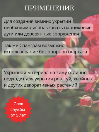 Укрывной материал с УФ Спанграм фисташковый зима 100 г/м2, 1,6 х 6 м