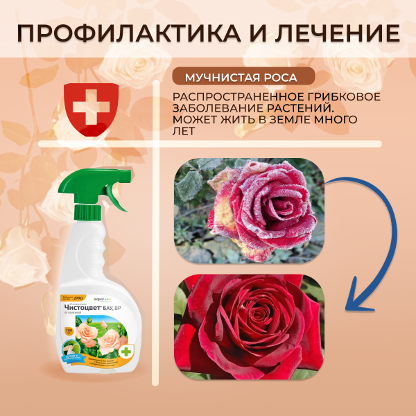 Спрей Чистоцвет БАУ от серой гнили, пятнистости, мучнистой росы 700 мл