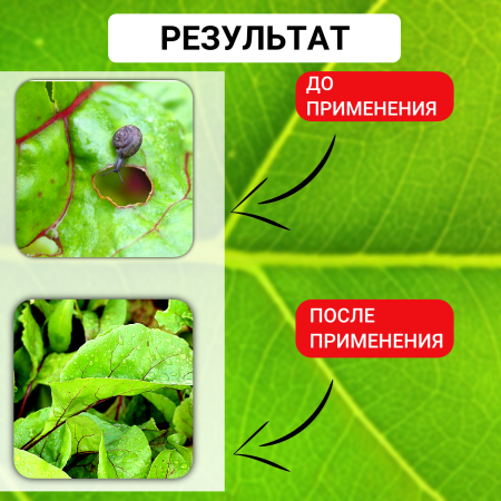 Средство от слизней и улиток Доктор Здорнов 200 гр порошок для избавления