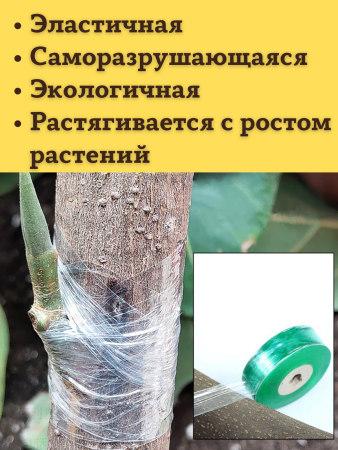 Лента прививочная 160 м, зеленая