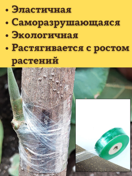 Лента прививочная 160 м, зеленая Лента прививочная 160 м, зеленая