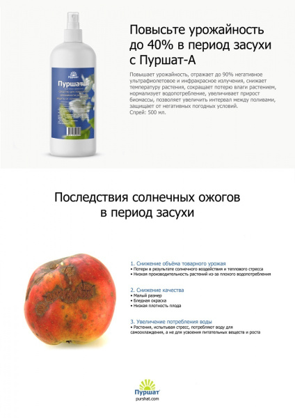 Средство защиты растений Пуршат-А спрей 0,5 л Средство защиты растений Пуршат-А спрей 0,5 л