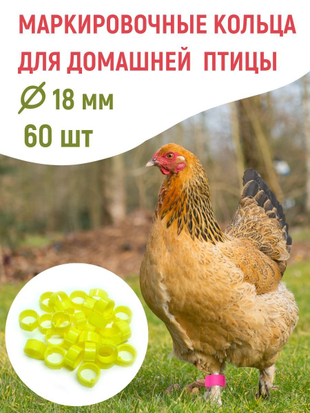 Кольцо маркировочное d-18 мм для кур 3 цвета 60 шт Кольцо маркировочное d-18 мм для кур 3 цвета 60 шт